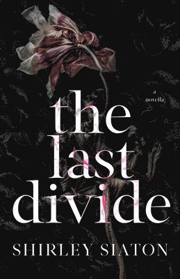 The Last Divide 1