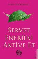 bokomslag Servet Enerjini Aktive Et