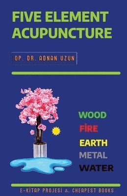 bokomslag Five Element Acupuncture