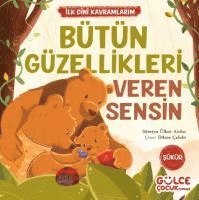 bokomslag Bütün Güzellikleri Veren Sensin - Ilk Dini Kavramlarim - Sükür