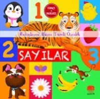 U?an fil, Kolektif - T?rk?e ve Ingilizce - Sayilar, Inbunden
