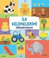Kolektif - What's That Word? (Turkiska), Inbunden