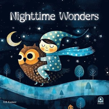 bokomslag Nighttime Wonders