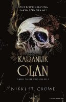 bokomslag Karanlik Olan