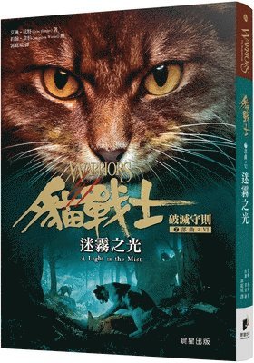 Erin Hunter - The Broken Code 6: A Light in the Mist, Häftad