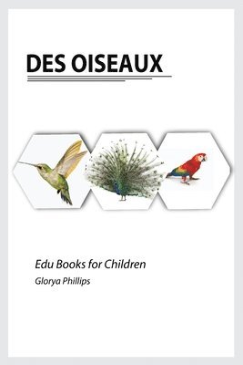 bokomslag Des Oiseaux