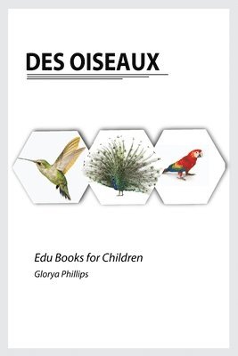 Glorya Phillips - Des Oiseaux, Häftad