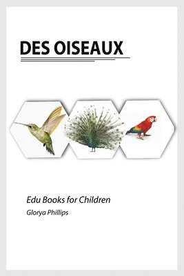 Des Oiseaux 1