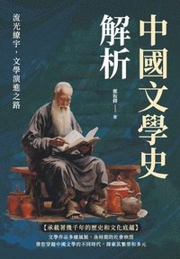 bokomslag &#20013;&#22283;&#25991;&#23416;&#21490;&#35299;&#26512;&#65306;&#27969;&#20809;&#32346;&#23431;&#65292;&#25991;&#23416;&#28436;&#36914;&#20043;&#36335;