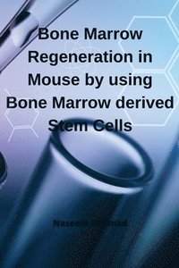 bokomslag Bone Marrow Regeneration In Mouse By Using Bone Marrow Derived Stem Cells