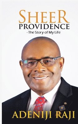 bokomslag Sheer Providence