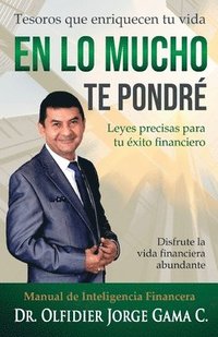 bokomslag lo mucho te pondré