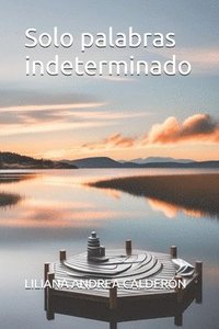 bokomslag Solo palabras indeterminado