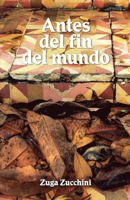 bokomslag Antes del fin del mundo
