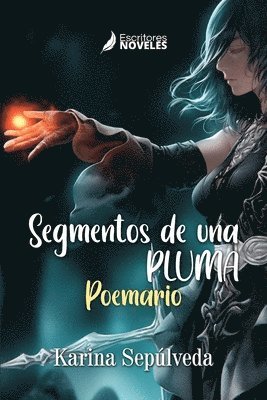 Segmentos de una pluma