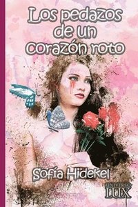 bokomslag pedazos de un corazón roto