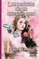 Los pedazos de un corazn roto 1