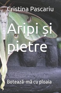 bokomslag Aripi ?i pietre