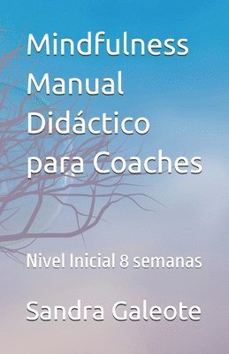 bokomslag Mindfulness. Manual Didáctico para Coaches: Nivel Inicial 8 semanas