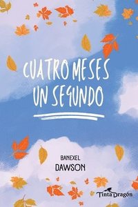 bokomslag Cuatro meses un segundo
