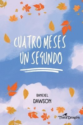 bokomslag Cuatro meses un segundo