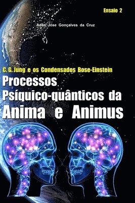 C. G. Jung e os Condensados Bose-Einstein 1