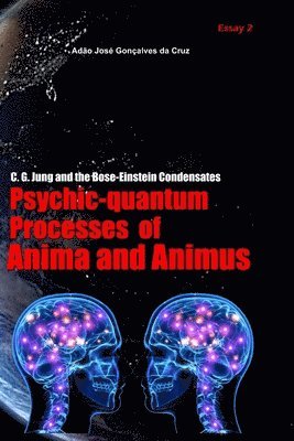 Adão José Gonçalves Da Cruz, ADÃO JOSÉ GONÇALVES DA CRUZ - C. G. Jung and the Bose-Einstein Condensates, Häftad