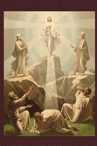 bokomslag Evangelho de João verso a verso