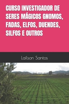 bokomslag Curso Investigador de Seres Mágicos Gnomos, Fadas, Elfos, Duendes, Silfos E Outros
