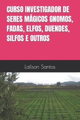 bokomslag Curso Investigador de Seres Magicos Gnomos, Fadas, Elfos, Duendes, Silfos E Outros