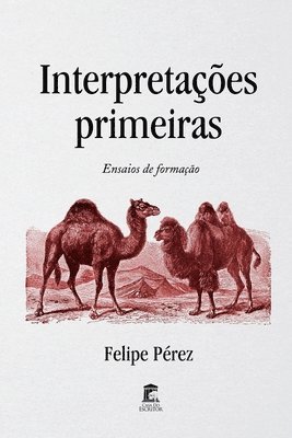 POR-INTERPRETACOES PRIMEIRAS