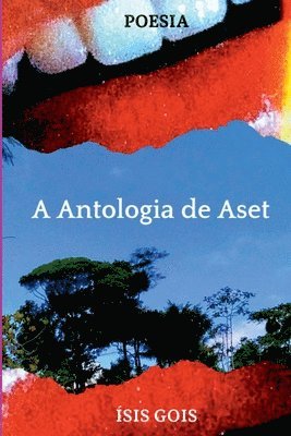 bokomslag A Antologia De Aset