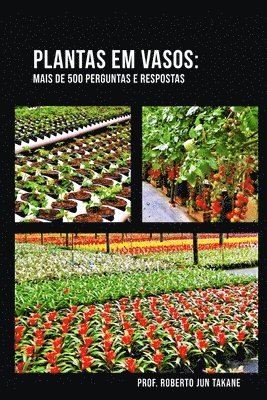 Plantas Em Vaso 1