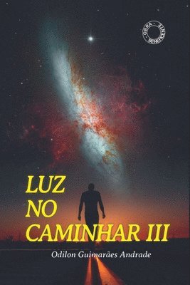 bokomslag Luz No Caminhar Iii