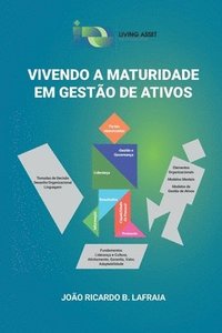 bokomslag Vivendo a maturidade em gestão de ativos