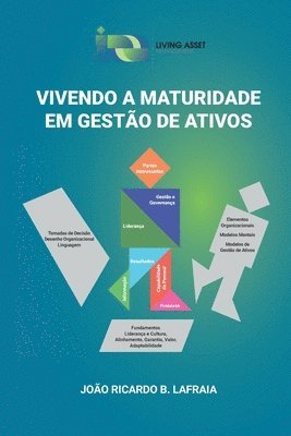 bokomslag Vivendo a maturidade em gestão de ativos