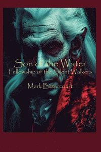 bokomslag Son of The Water