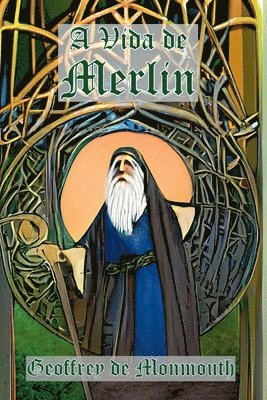 bokomslag A Vida De Merlin