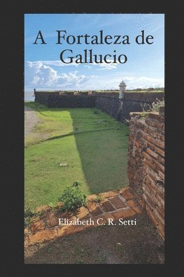 A Fortaleza de Gallucio 1