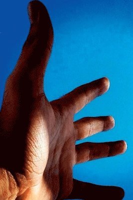 Os Regalos Da Azanha