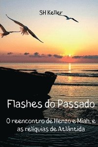 bokomslag Flashes Do Passado