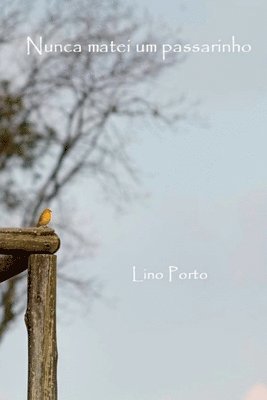 bokomslag Nunca Matei Um Passarinho