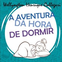 bokomslag A Aventura Da Hora De Dormir