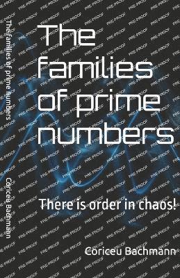 Coriceu Xisto Bachmann - families of prime numbers, Häftad