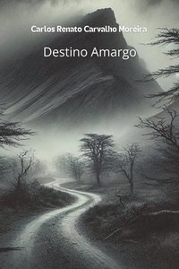 bokomslag Destino Amargo