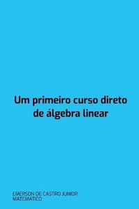 bokomslag Um Primeiro Curso Direto De Álgebra Linear