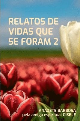 bokomslag Relatos De Vidas Que Se Foram 2
