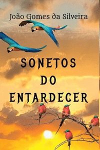 bokomslag Sonetos Do Entardecer