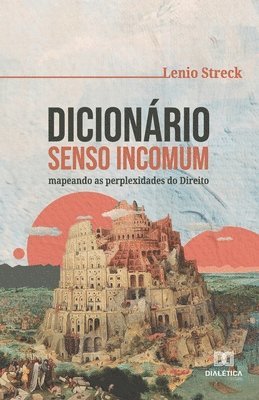 bokomslag Dicionário Senso Incomum: mapeando as perplexidades do Direito