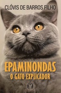 bokomslag Epaminondas